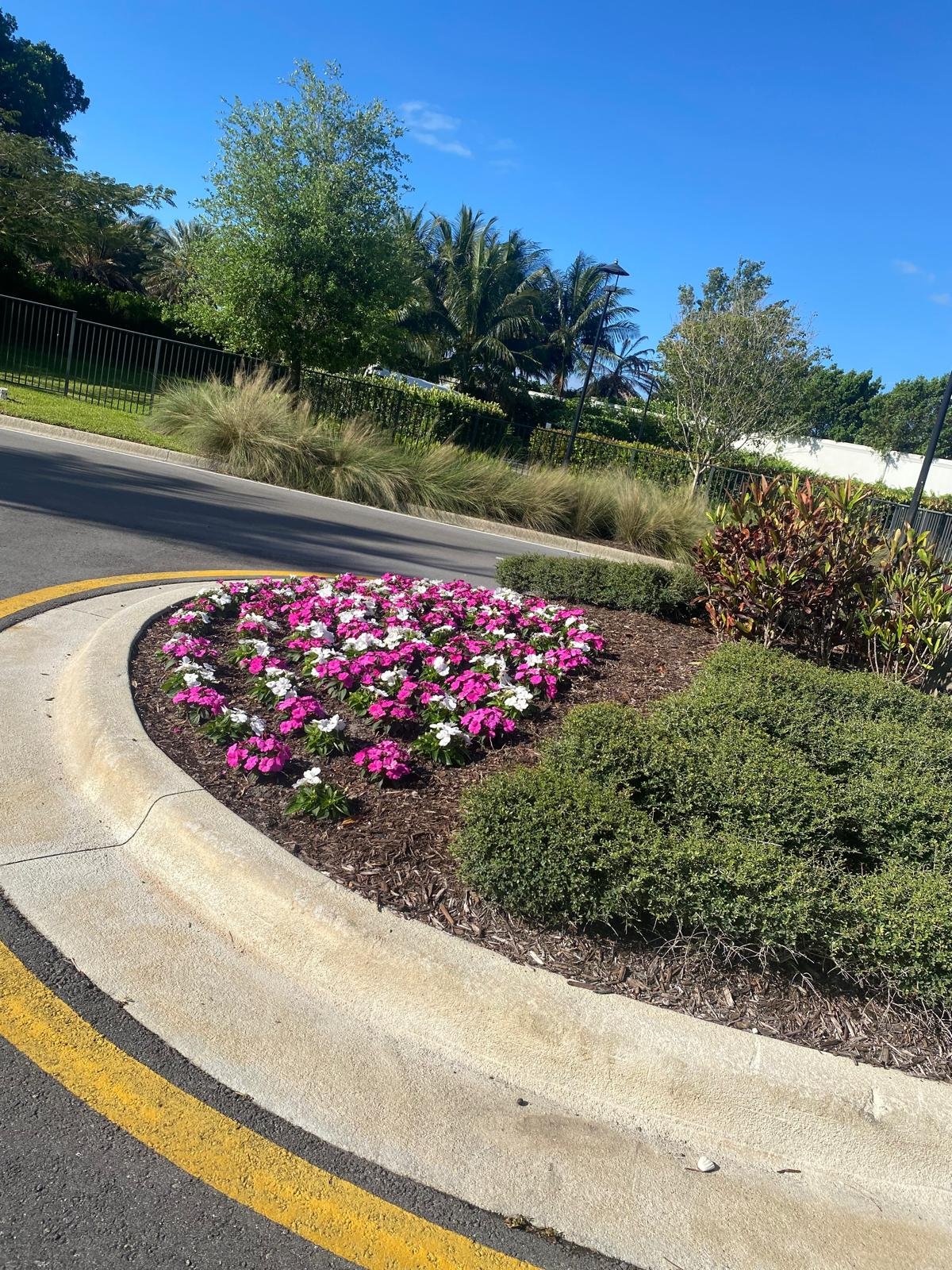 Garden planting work by Amaya's Landscaping